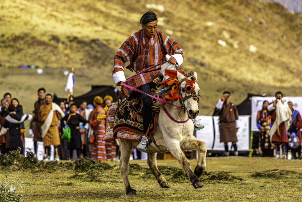 2023 10 23 12.00.55 2 scaled