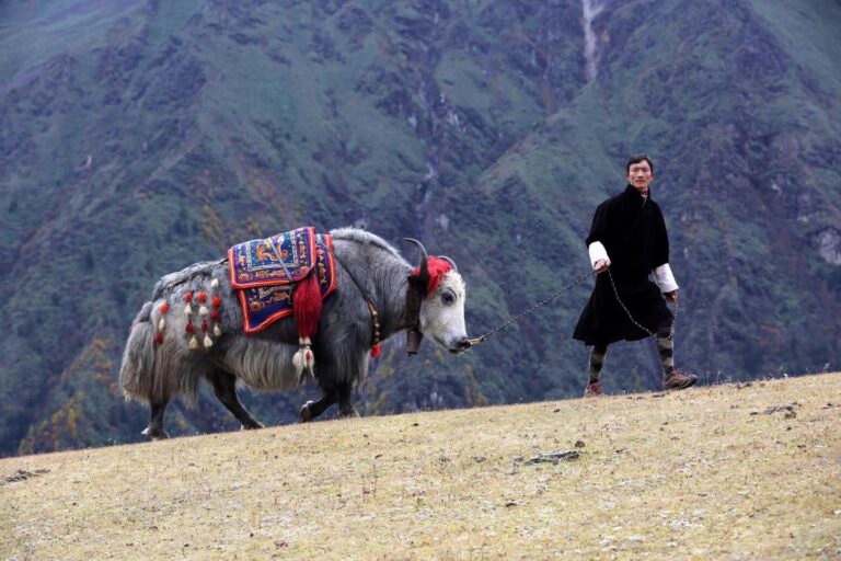 472237100 913055490948559 8461248383814930461 n