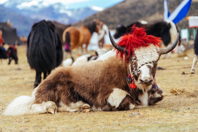 476967316 937051048549003 23069987842348630 n