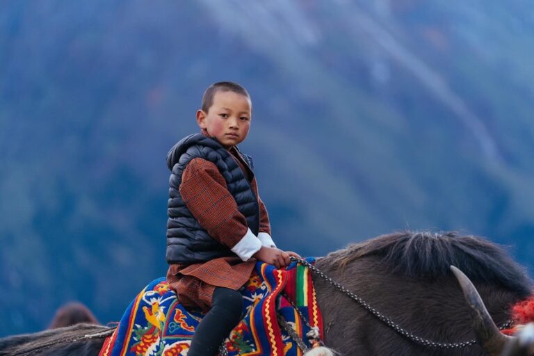 479185118 937051098548998 7535006489593775037 n