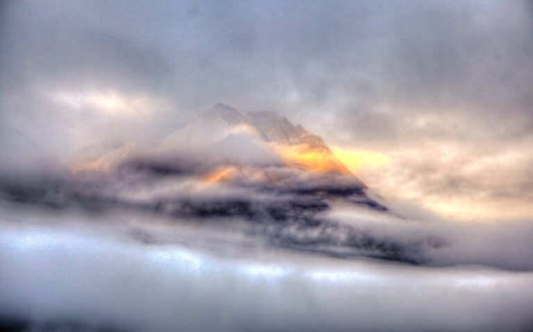 485143956 2127743977686066 4959296180956095764 n