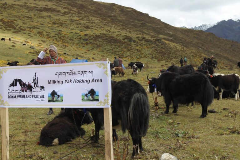 488613731 2142375899556207 7608644490465159340 n