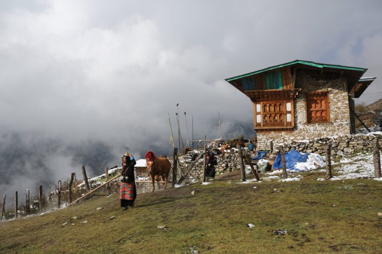 70861793 741018293025315 5149600959667634176 n