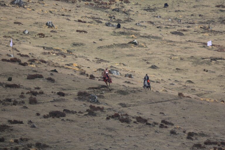 71096969 751273871999757 2908134772872052736 n