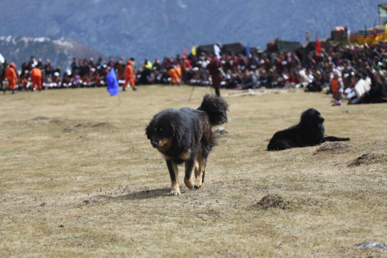 71405573 751269452000199 2101174361426755584 n