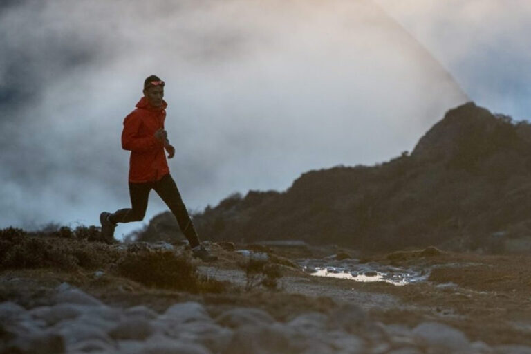 homepage gallery2 dec